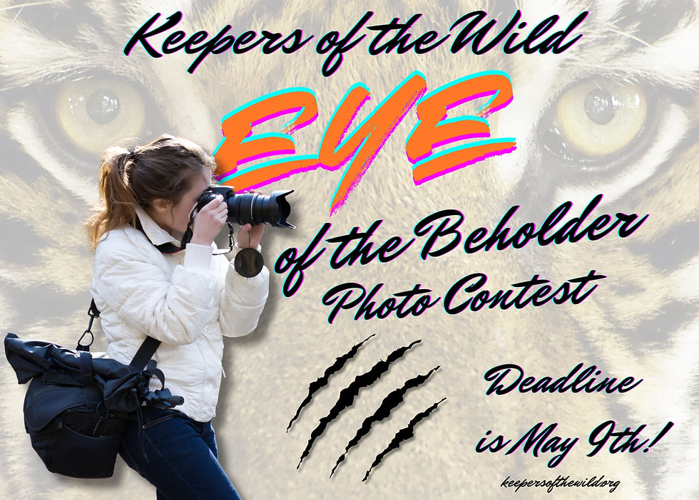 Eye of the Beholder Photo Contest | Keepers of the Wild